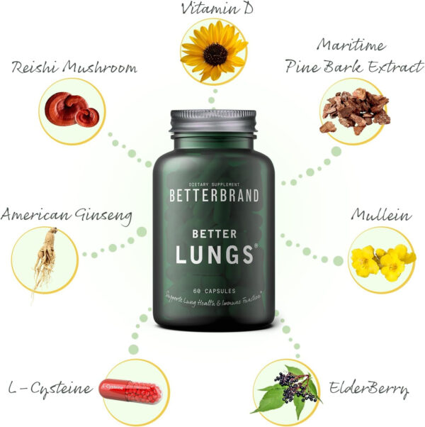 Betterbrand BetterLungs Daily Respiratory Health Supplement (60 Capsules) | with Mullein Leaf for Lung Health, Allergy, Sinus, and Mucus Relief - Image 7