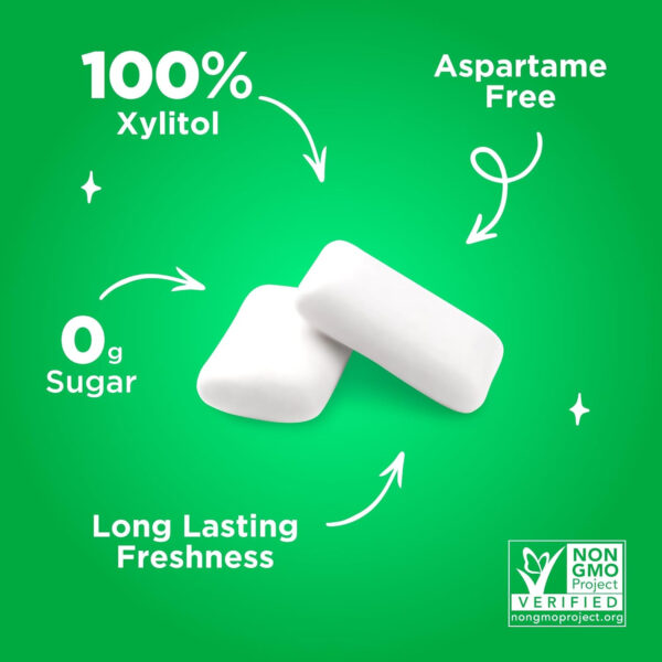 Xylitol Gum | PUR Aspartame Free Natural Spearmint, 55 Pieces - Image 5