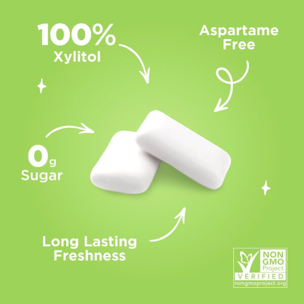 Xylitol Gum | PUR Aspartame Free Natural Spearmint, 55 Pieces - Image 25