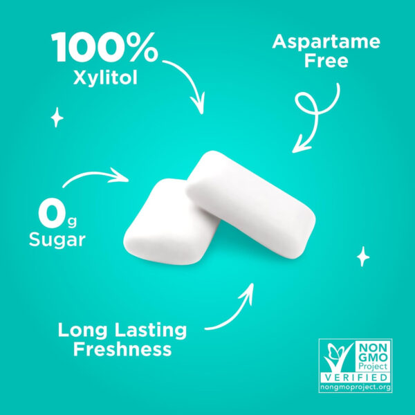 Xylitol Gum | PUR Aspartame Free Natural Spearmint, 55 Pieces - Image 47