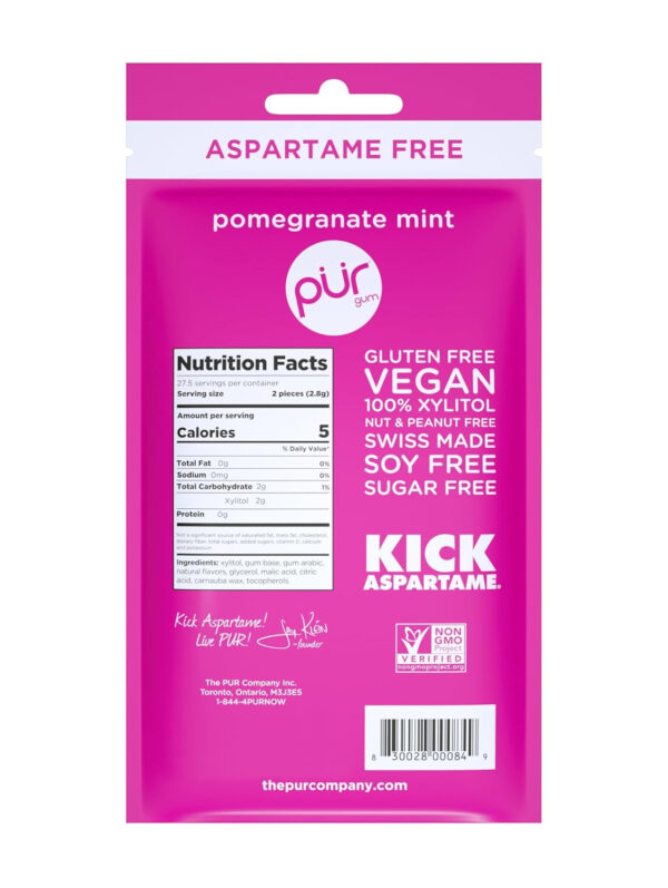 Xylitol Gum | PUR Aspartame Free Natural Spearmint, 55 Pieces - Image 60